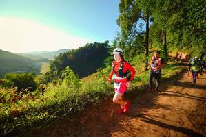 BIB: 
                            <button type="button" onclick="openModal(19171014)" class="btn btn-primary btn-sm float-right btn-popup" data-toggle="modal" data-target=".modal-high-quality">
                        <i class="fas fa-shopping-cart"></i> Add to Cart
                    </button>
                                            <button type="button" onclick="isThisMe(19171014, true)" class="btn btn-success btn-sm float-right btn-popup btn-isme hidden" data-toggle="tooltip" data-placement="bottom" title="นี่คือรูปของคุณใช่ไหม คลิกที่นี่เพื่อเอาเข้าอัลบั้ม">
                        <i class="fas fa-plus"></i> Add to album
                    </button>
                    <button type="button" onclick="isThisMe(19171014, false)" class="btn btn-warning btn-sm float-right btn-popup btn-isnotme hidden">
                        <i class="fas fa-ban"></i> Remove from album
                    </button>